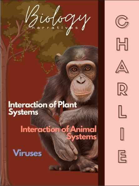 Meet Charlie the Chimpanzee and follow his story through Viruses, Animal Systems, and Plants - Listen to his story here: drive.google.com/file/d/1GCGz6y……… #SciEd #BiologyEd #BioTeachers #BiologyEducation #TeachingTips #TeacherTwitter #FYP #foryoupage #fypviraltwitter #STEMchat