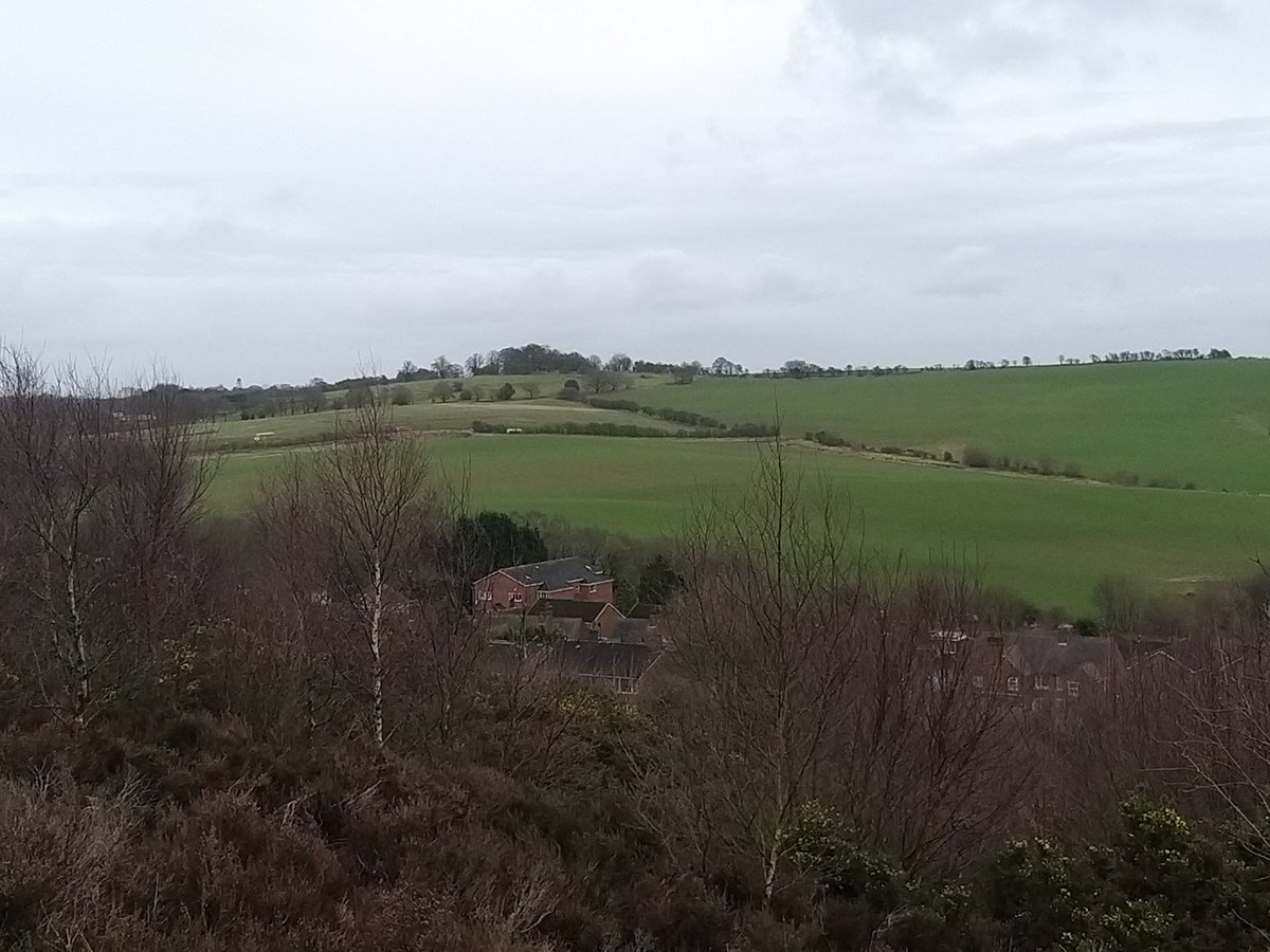 Hi everyone. Are there any of my birding friends near hednesford? I'm looking for good local birding spots if anyone can recommend anything.