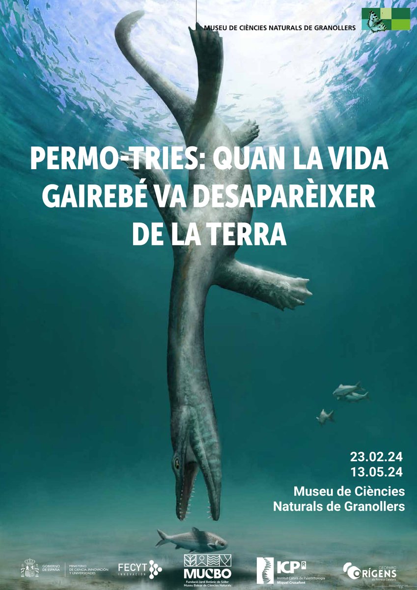 mcngranollers's tweet image. #inauguració de l&apos;exposició &quot;Permo-Trias: quan la vida quasi va desaparèixer de la Terra&quot;. Mostra #fòssils del #Permià i el #Triàsic.
@Montseny @culturadiba  @granollerscultura @xarxadeparcs   @ICP_MCrusafont @territoricat @museuconcadella
📅 Dissabte 2 març
⏱️18.00 h 
🏦MCNG