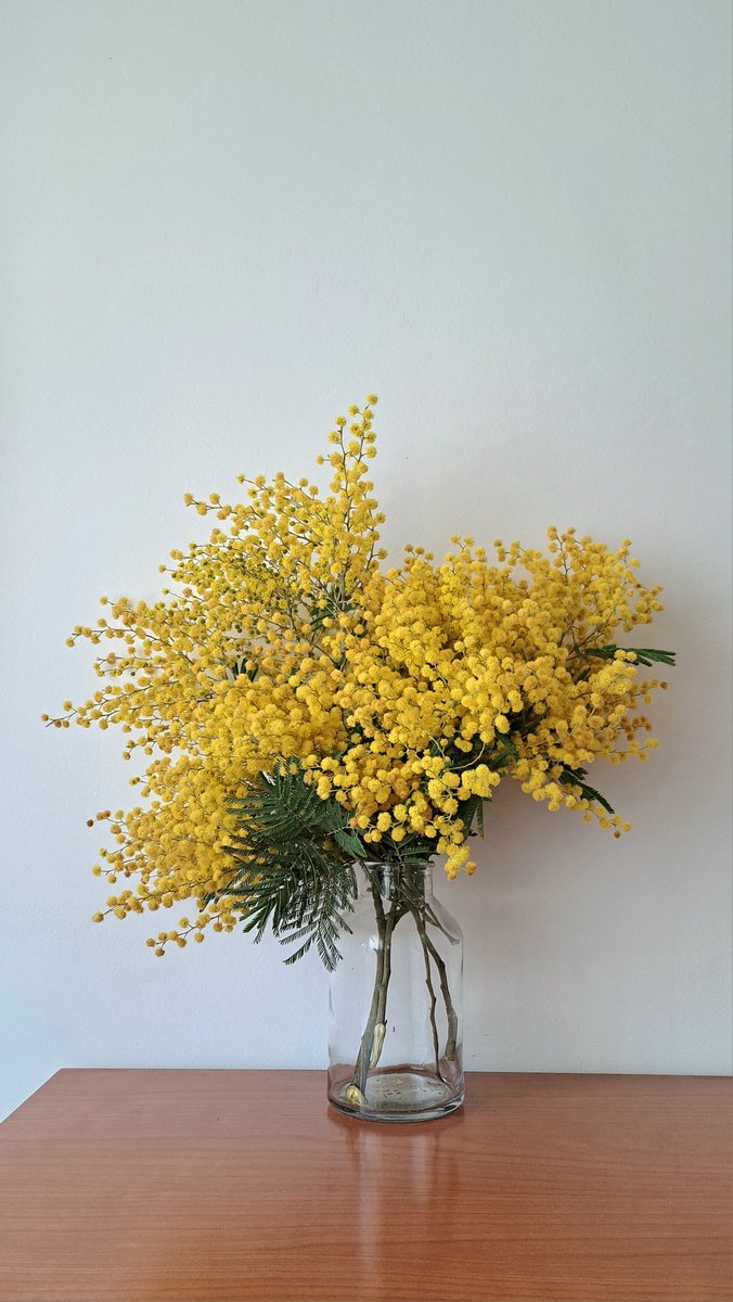 nemveient's tweet photo. La primavera preparant-se i compte enrere pel canvi d'hora! https://t.co/SOyWdwsApO