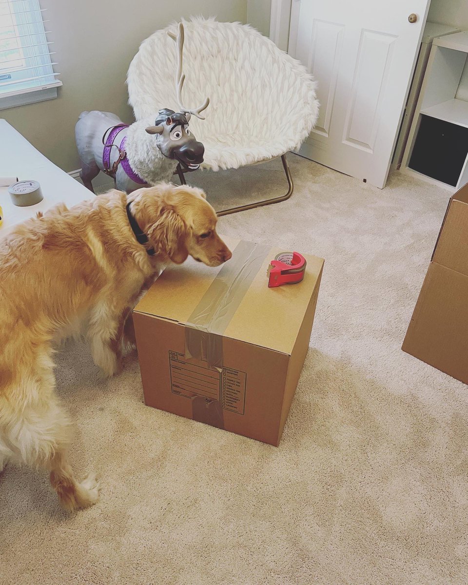 organizedpack's tweet image. Caption this :)