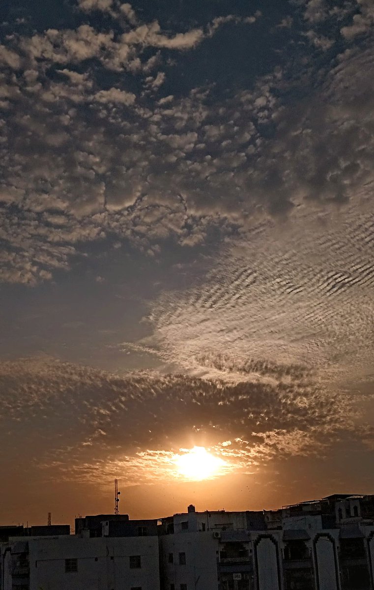 ♡𝐈𝐳𝐳𝐚𝐡_🇵🇸 tweet media