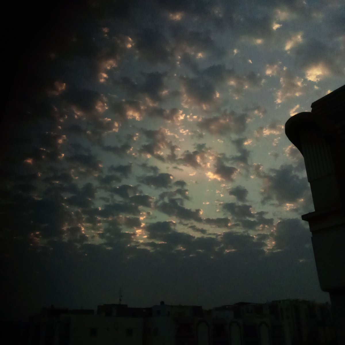 ♡𝐈𝐳𝐳𝐚𝐡_🇵🇸 tweet media