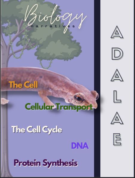 Meet Adalae the Climbing Salamander and follow her story through The Cell, Transport, Cell Cycle, DNA, and Central Dogma - Listen to his story here: drive.google.com/file/d/1ew8a95… #BiologyEd #BioTeachers #BiologyEducation #TeacherTwitter #FYP #foryoupage #fypviraltwitter #STEMchat #TPT