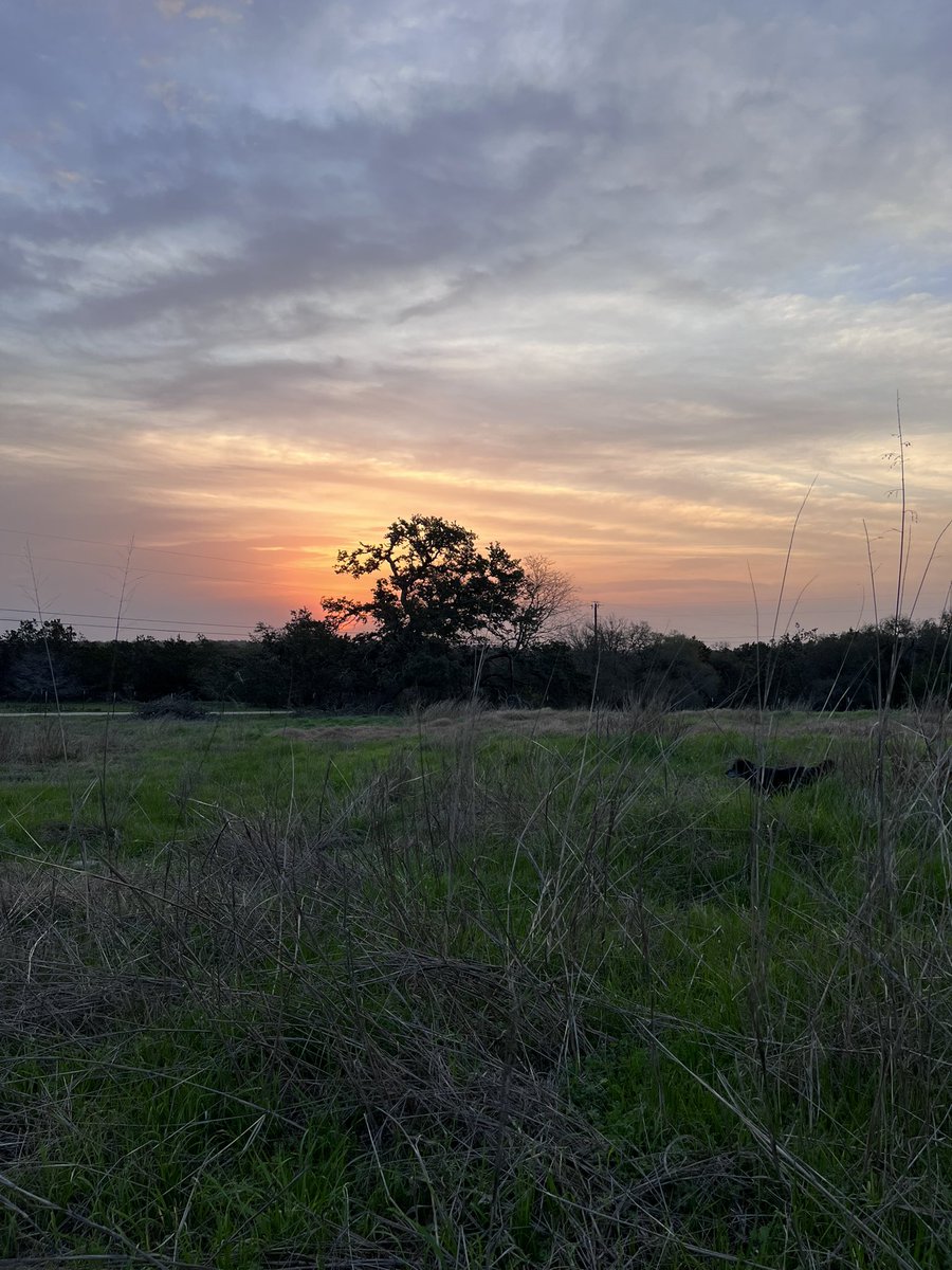 #LowDog is moving forward on #LowDogRanch 
Not left, not right, not backwards but #forward #fwd_party #fwd_texas #texashillcountry