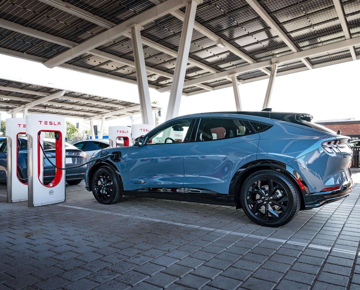 Cynthia Williams tweet media