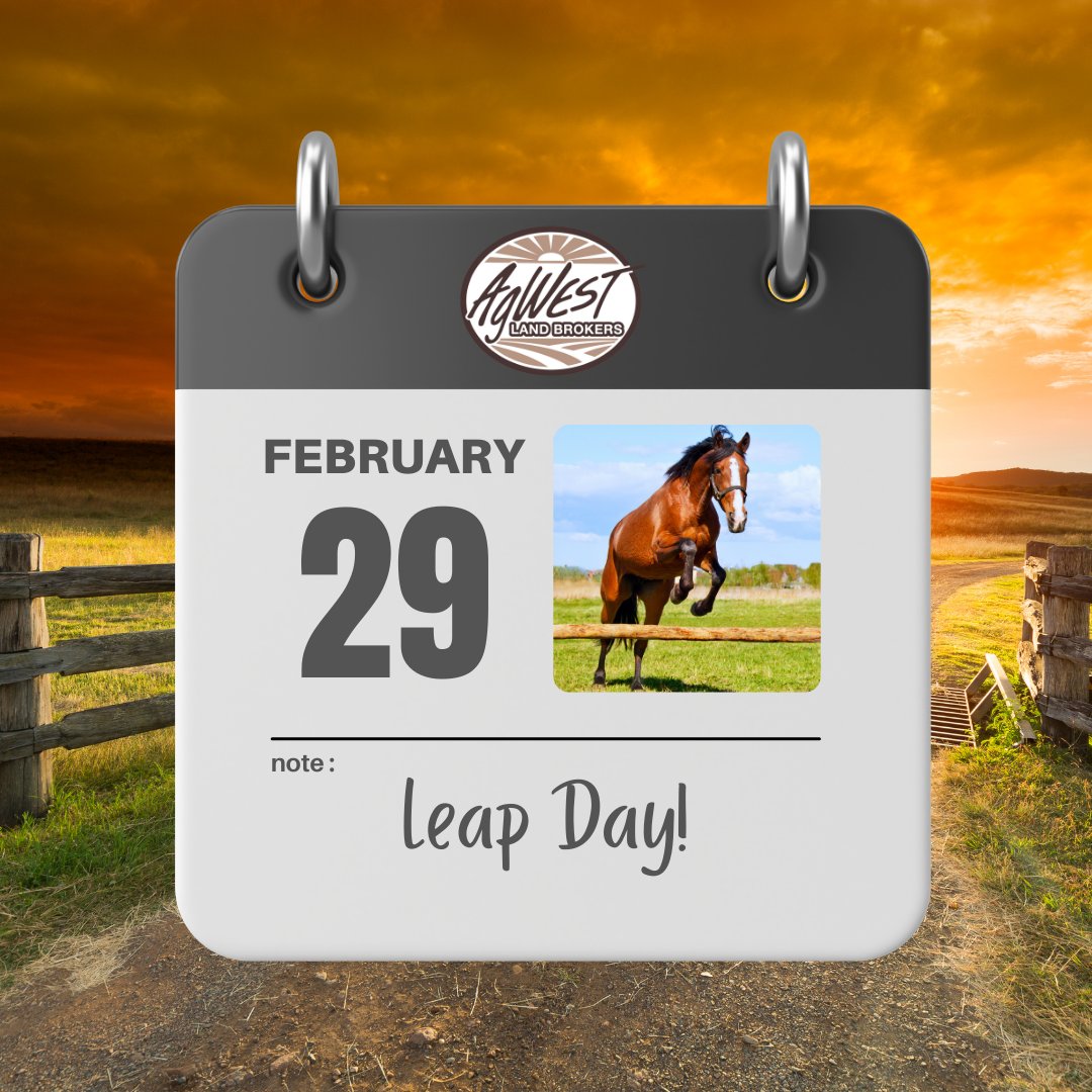 Leap into February 29th!

This year's got a bonus day. How are you spending your extra 24 hours? Let us know below. 👇

#LeapDay #LeapYear2024 #agwestlandbrokers #bonusday #whatwillyoudo