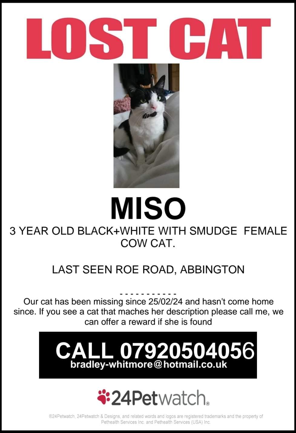 Outdoor deals cat missing