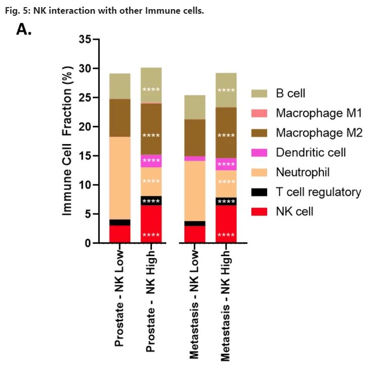 ZorkoNK (@zorkonk) on Twitter photo Further evidence that NK cells infiltrate immunologically "cold" prostate cancer tumors! rdcu.be/dzQg7 This is just the tip of the iceberg from this dataset. Thank you to <a href="/PCF_Science/">PCF Science</a> <a href="/UMNCancer/">Masonic Cancer Center, University of Minnesota</a> for funding and mentorship! Can't wait for our first PCa NK trial! Further evidence that NK cells infiltrate immunologically "cold" prostate cancer tumors! rdcu.be/dzQg7 This is just the tip of the iceberg from this dataset. Thank you to <a href="/PCF_Science/">PCF Science</a> <a href="/UMNCancer/">Masonic Cancer Center, University of Minnesota</a> for funding and mentorship! Can't wait for our first PCa NK trial!