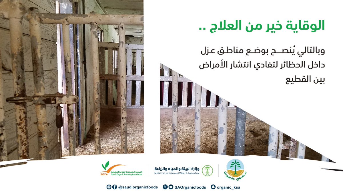 يُنصح في مشاريع الإنتاج الحيواني العضوي تقسيم الحظائر وإنشاء مناطق لعزل الحيوانات المصابة لتفادي انتشار الأمراض بين القطيع.
#نساند_عزيمتك_وندعم_انطلاقتك