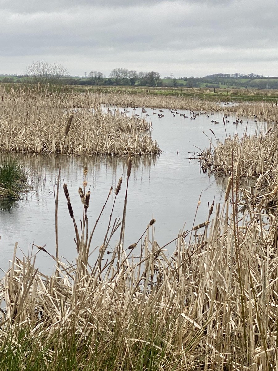 The Levels School tweet media