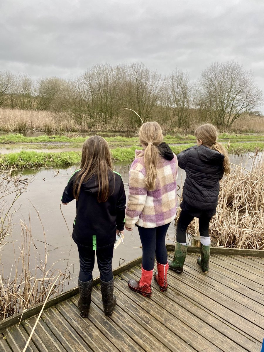 The Levels School tweet media