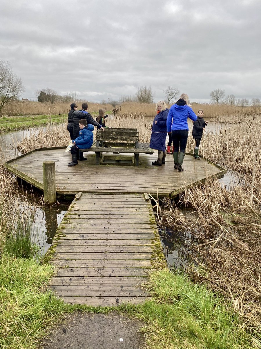 The Levels School tweet media