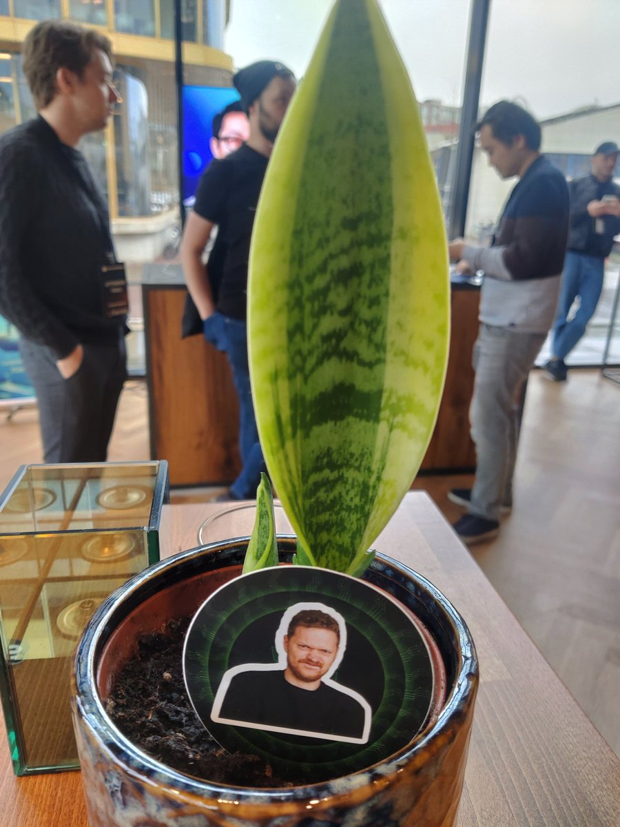 filrakowski's tweet image. Ngl the plants at @vuejsamsterdam are wild #vuejsamsterdam