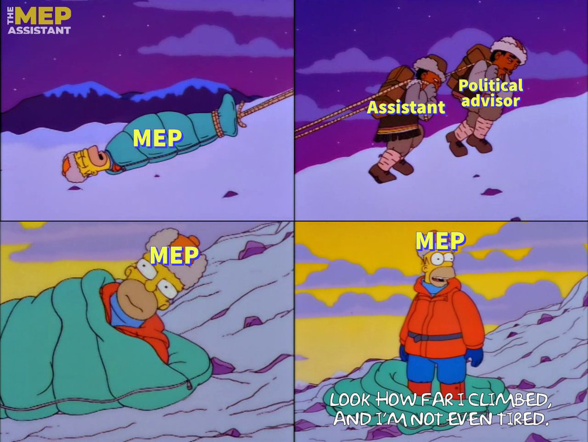 When MEPs look back on their achievements this mandate.