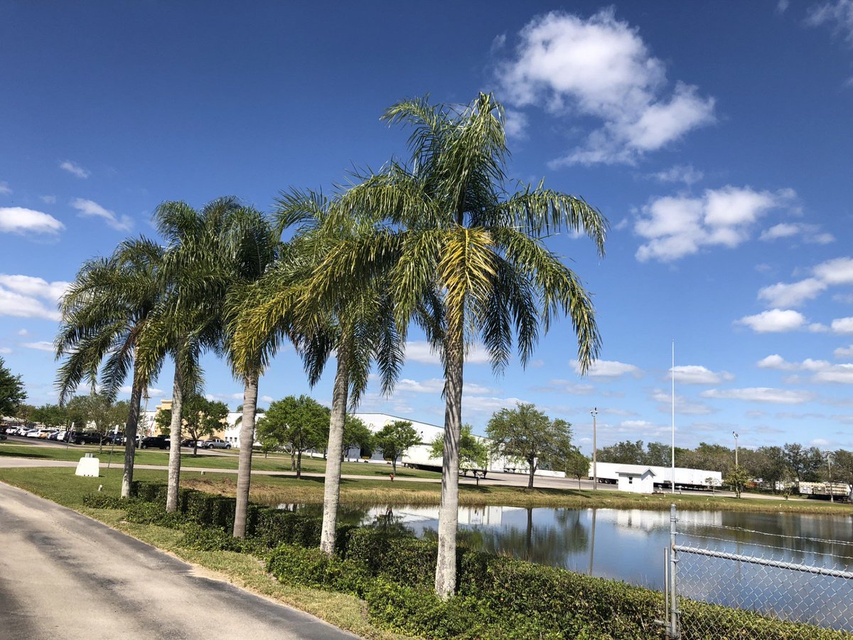 BulkCarriersPEI's tweet image. A drivers view from Vero beach, Florida. 

#Florida #Viewsfromtheroad