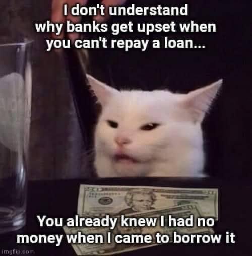 Money Twitter be like