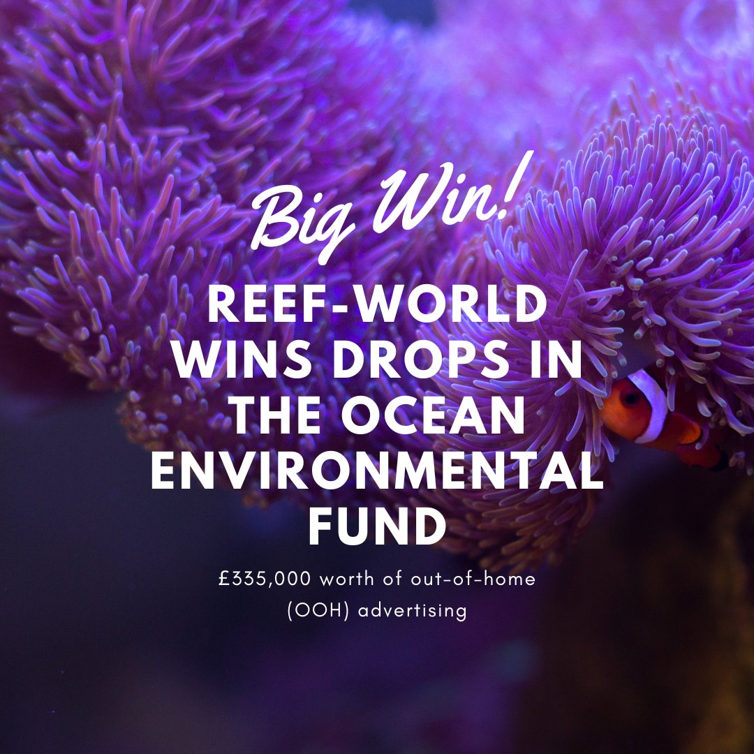 🎉 BIG NEWS: Thrilled to share that Reef-World won £335,000 in Ocean Outdoor's Drops In The Ocean fund! 🏆 With this win, we'll spread our mission further, raising awareness and driving change for our oceans! 🌍💙 Click to read the full press release: reef-world.org/blog/drops-in-…
