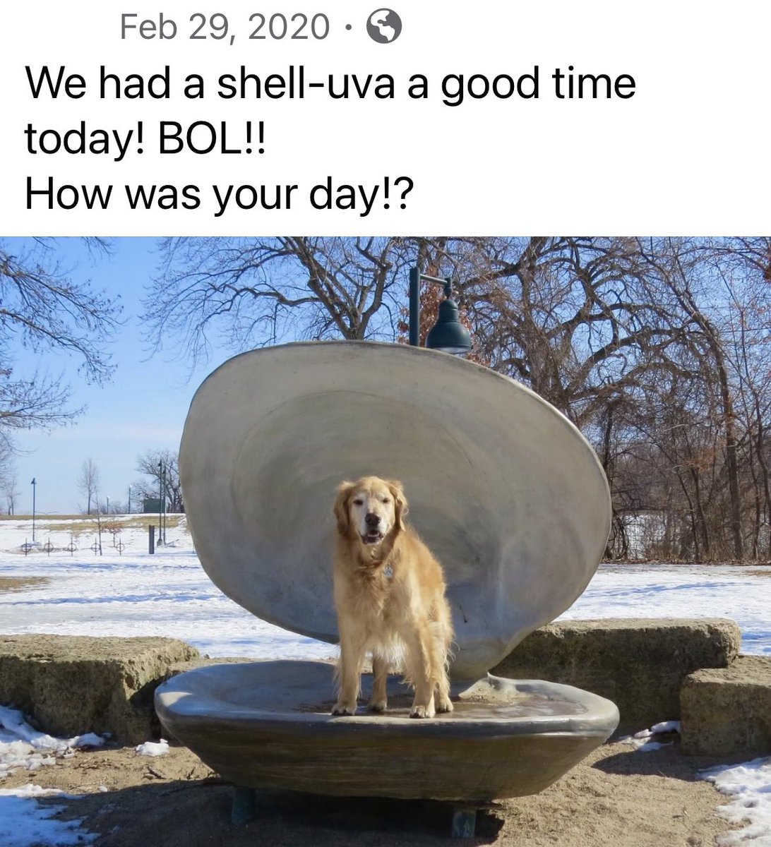 darbijothegoldn's tweet photo. 😇Darbi Jo, ever the Punster… #soloved #somissed https://t.co/CyGkGIONVx
