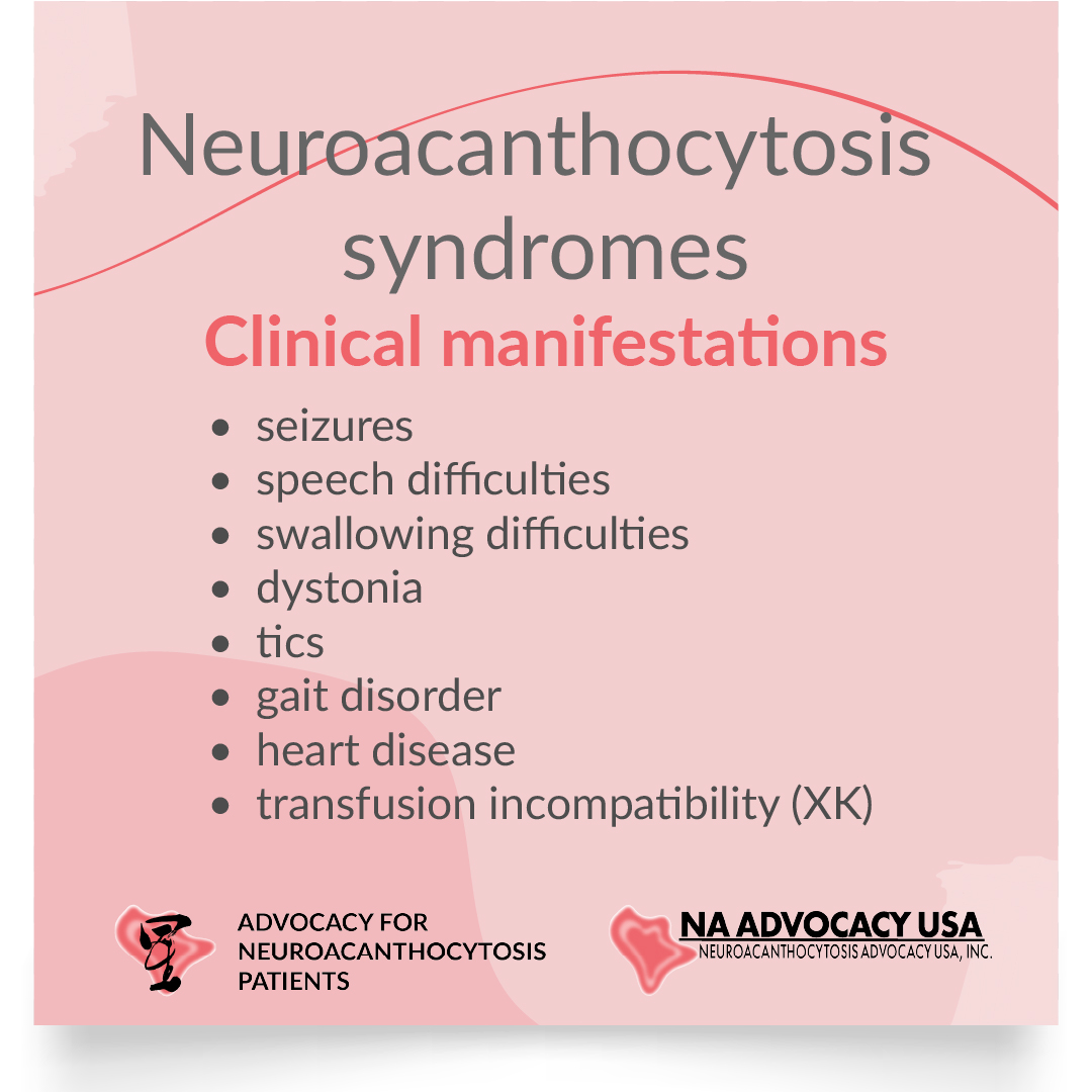 'Find out more about what neuroacanthocytosis (NA) syndromes are and how they manifest. 

#neuroacanthocytosis #vps13a #xkdisease #RareDiseaseDay2024 #RareDiseaseDay #RDD2024 #RDD #PatientAdvocacy #PatientGroup #DigitalMagazine'
@NA_Advocacy