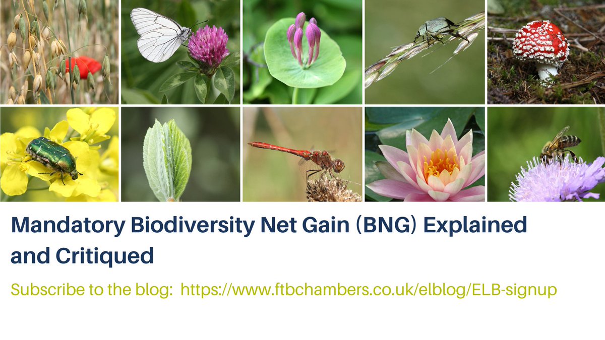 EnvLaw_Blog's tweet photo. In this latest #elb post, guest author Imogen Smalley sets out how the new mandatory Biodiversity Net Gain (BNG) requirements are to function and also the missed opportunities that remain present in the legislation. 
https://t.co/1fkoYioNRa
#biodiversity #environmentallaw https://t.co/A7HCVQyZ2O