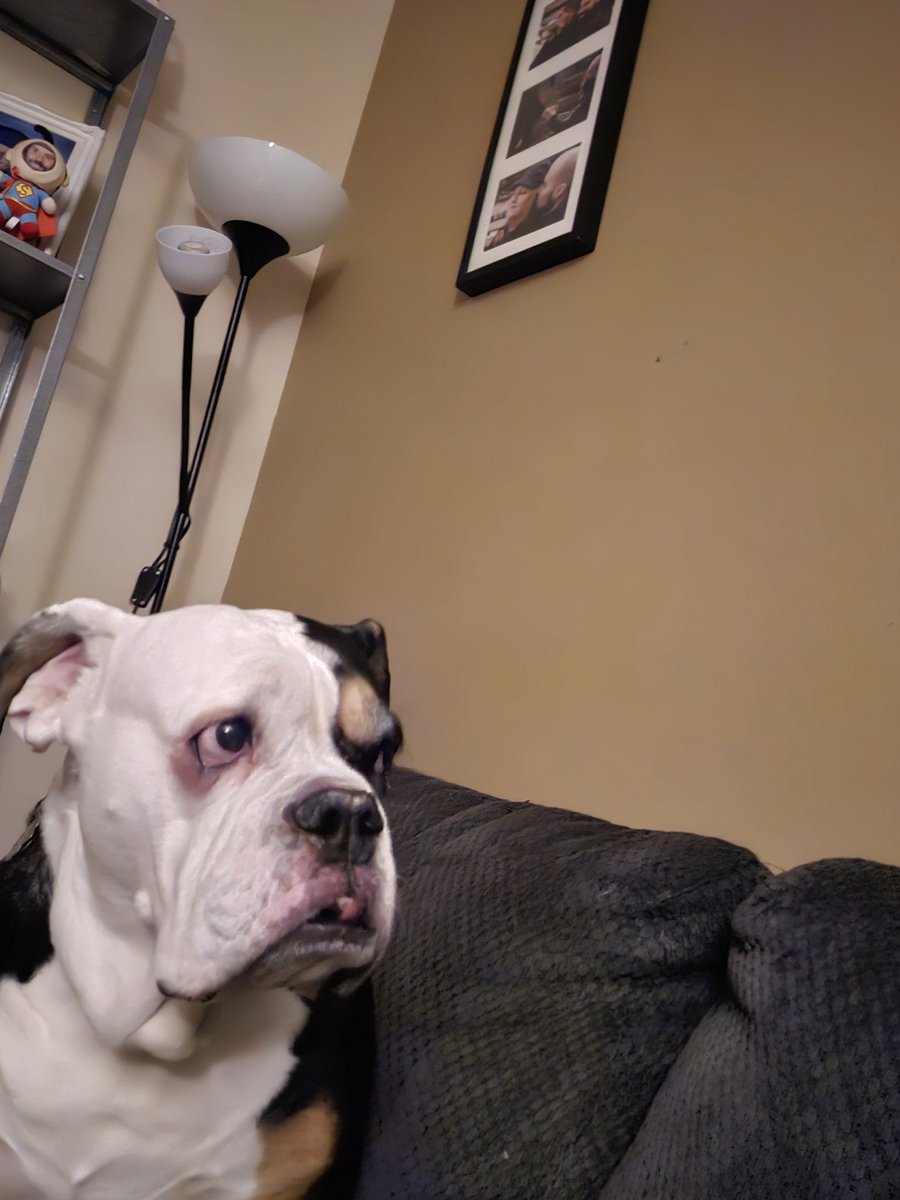 Mister Noons tweet media