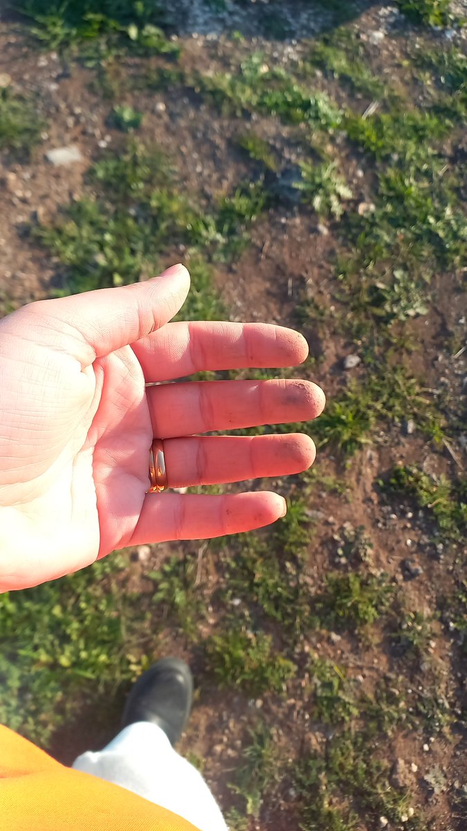 mervetepeee5's tweet photo. Mis gibi kokuyor toprağın nur yüzlümmmm🤍 https://t.co/HAd1OhlwKV