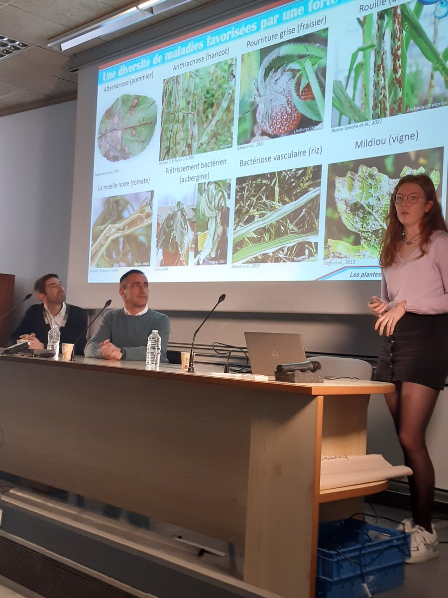 [#Conference] Merci pour cette conférence éclairante des Ouvertures @UT3PaulSabatier sur les cycles de l’eau avec @NicoLanglade,#SolineMarty, #FabienMounet, qui nous ont présenté leurs travaux sur le rôle de l'eau chez les plantes, au cours de la pollinisation ou d'une infection.