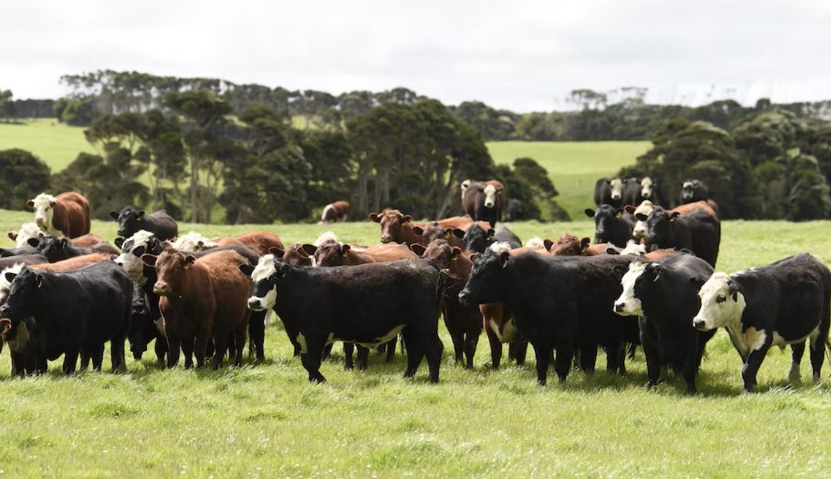 Grootste rundvleesproducent ter wereld aangeklaagd voor misleidende informatie over milieu-impact producten  #klimaat #duurzaamheid #milieu #greenwashing #footprint    im.nu/917L42