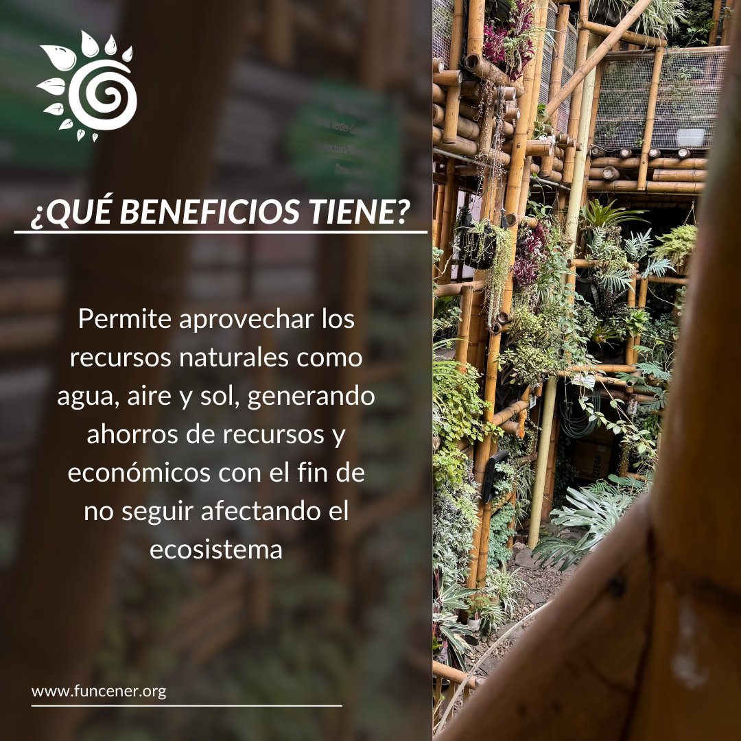 funcener tweet picture