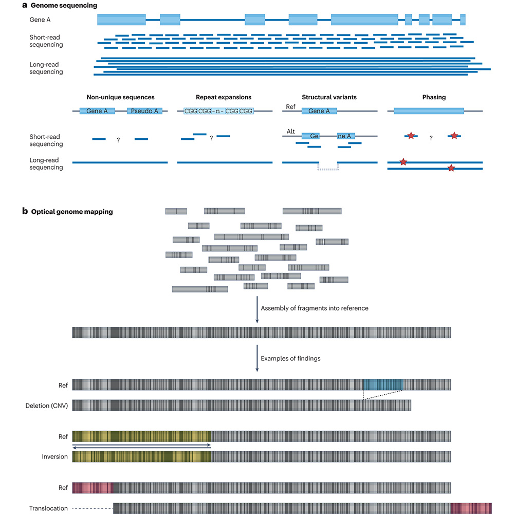 NaturePortfolio's tweet photo. A Review in @NatureRevGenet explores emerging approaches for the identification of disease-causal genetic variants as well as omic technologies that show great potential for variant interpretation. #RareDiseaseDay https://t.co/meiuqEr4zR https://t.co/giO8P0F8RO
