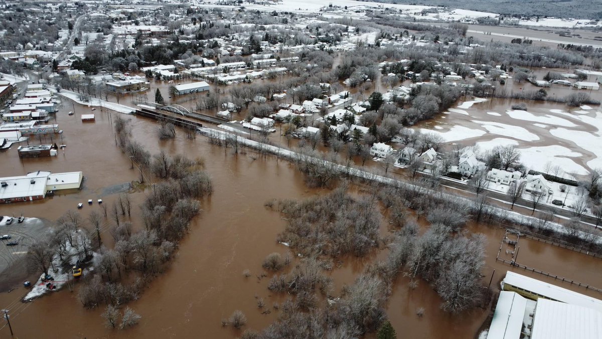 Ryan Snoddon tweet media