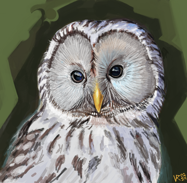 Ural owl for @BirdWhisperers It's been three months since I've painted anything, so nice getting some art done. #BirdWhisperer #owl #drawr