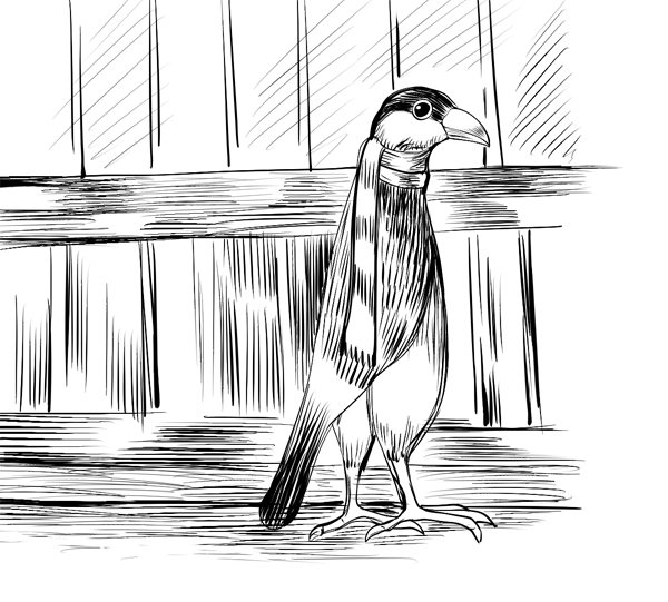 なんか文鳥が異様に伸びている時、うろんな客みたいだなっていつも思う。 