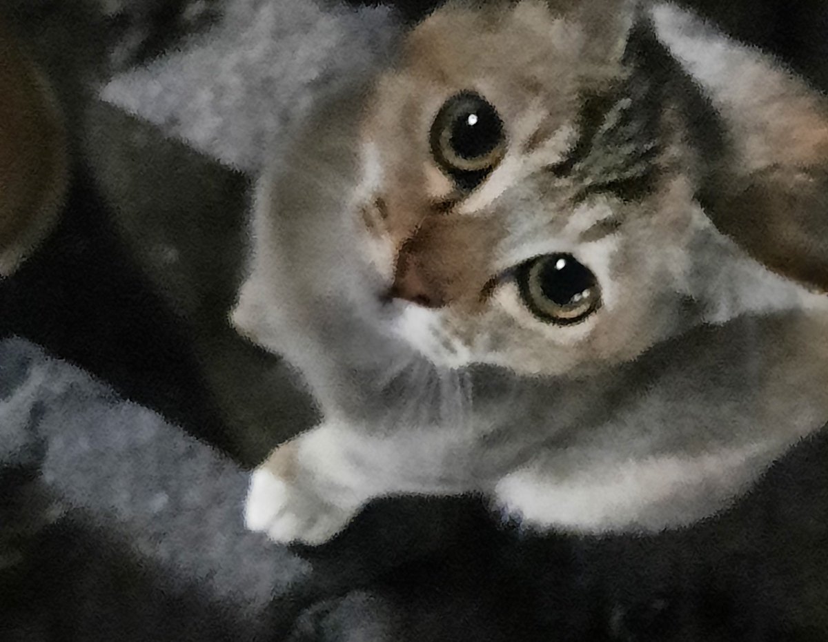 damnsdevil's tweet image. Their boba eyes