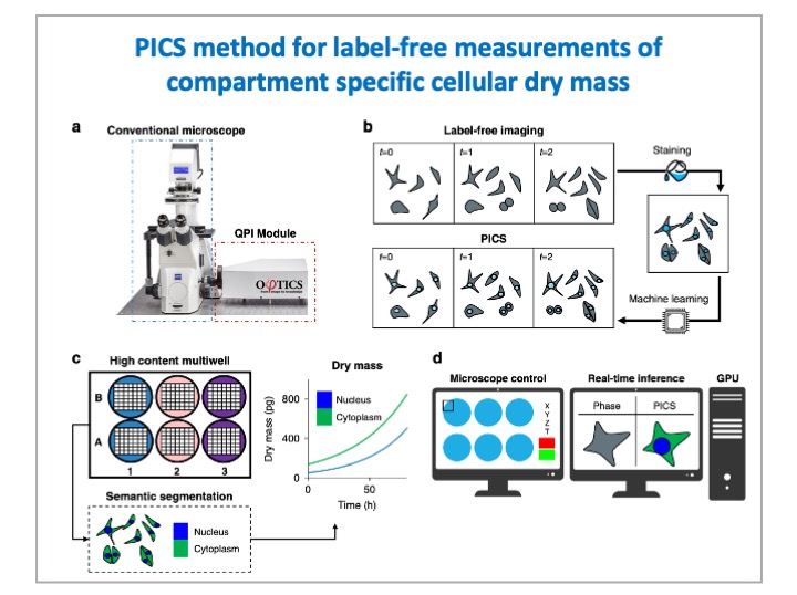 phioptics's tweet image. The combination of quantitative phase imaging and AI, now provides information about unlabeled live cells with high specificity.  #CellularMicroscopy #QuantitativePhaseImaging #AIinScience #ArtificialIntelligence #LiveCellImaging

More on the science: ow.ly/X7RM50QHbQo
