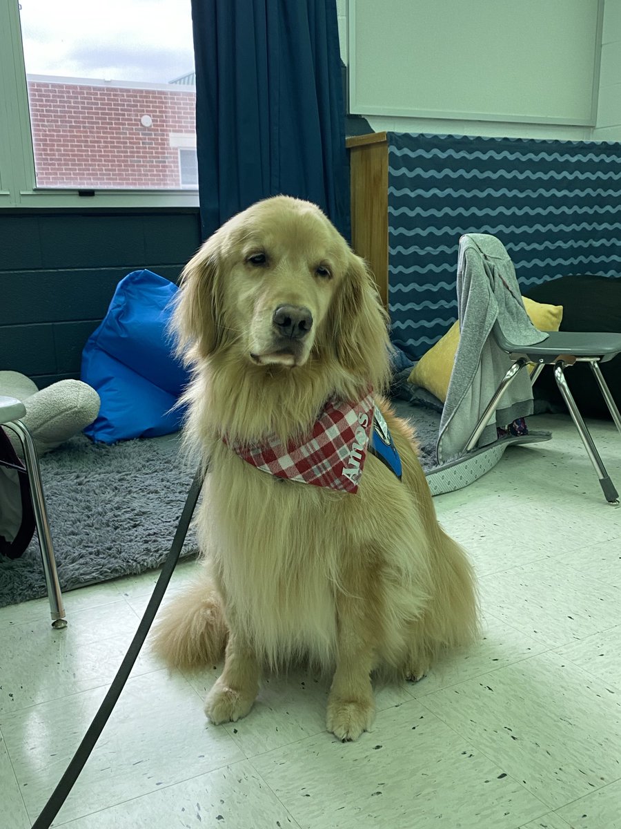 Cristin Pozniak tweet media