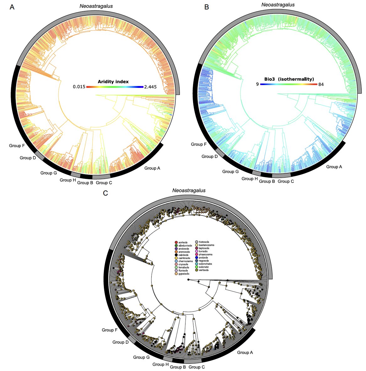 Botanical Society of America (@botanical_) on Twitter photo Anatomy of a mega-radiation: Biogeography & niche evolution in #Astragalus
New #AJB research by <a href="/ry_folk/">Ryan Folk 🐕</a>, Joseph Charboneau, <a href="/MikesMothModels/">Michael Belitz</a>, Tajinder Singh, <a href="/HeatherKates1/">Heather Kates</a>, <a href="/soltislab/">Soltis Lab @UF</a>, Robert Guralnick, Carolina Siniscalchi
doi.org/10.1002/ajb2.1… #botany <a href="/wileyplantsci/">Wiley Plant Science</a> Anatomy of a mega-radiation: Biogeography & niche evolution in #Astragalus
New #AJB research by <a href="/ry_folk/">Ryan Folk 🐕</a>, Joseph Charboneau, <a href="/MikesMothModels/">Michael Belitz</a>, Tajinder Singh, <a href="/HeatherKates1/">Heather Kates</a>, <a href="/soltislab/">Soltis Lab @UF</a>, Robert Guralnick, Carolina Siniscalchi
doi.org/10.1002/ajb2.1… #botany <a href="/wileyplantsci/">Wiley Plant Science</a>