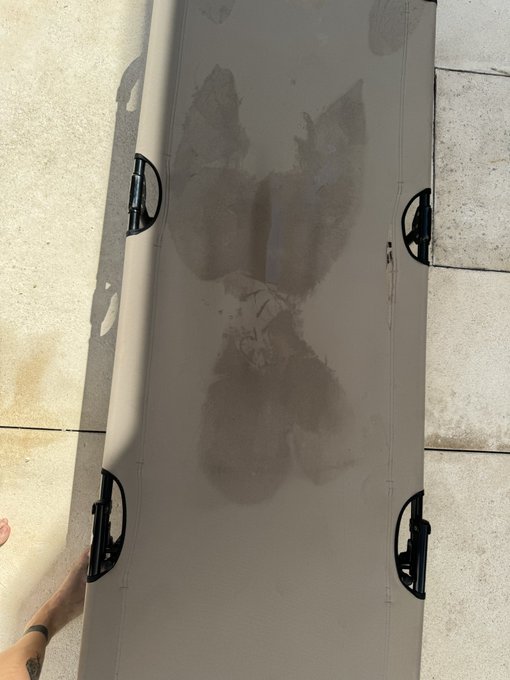 This week in the life 🐚🌿🦋☕️ https://t.co/KiXrEMLWsx