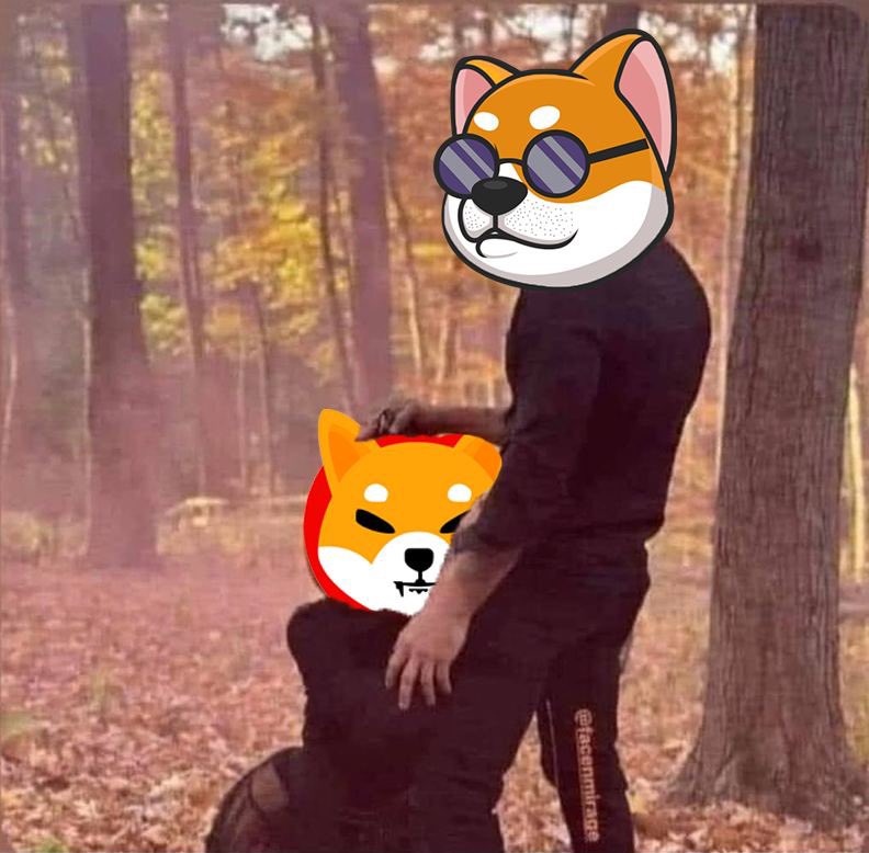 cryptodogoo92's tweet image. Much better R/R in $SANI the Shiba killer. Many SHIB OGs involved. I expect it to do massive numbers 1B+ programmed. @SANININU