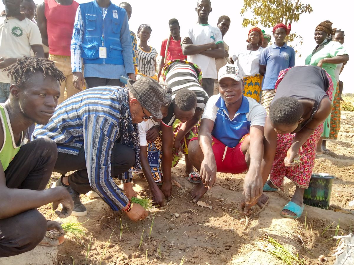 PNUD_BFA's tweet photo. Le Représentant Résident Adjoint du @PNUD_BFA au #BurkinaFaso🇧🇫, @Eloi_KIV au contact des 174 exploitants de la #FAEP de Ténado, dont 85% de femmes et 13% de PDI. Des acteurs heureux d’avoir eu un moyen d’amélioration de leurs moyens d’existence.
#agroecology 
#DéveloppementLocal https://t.co/w5Gtmr1Nna