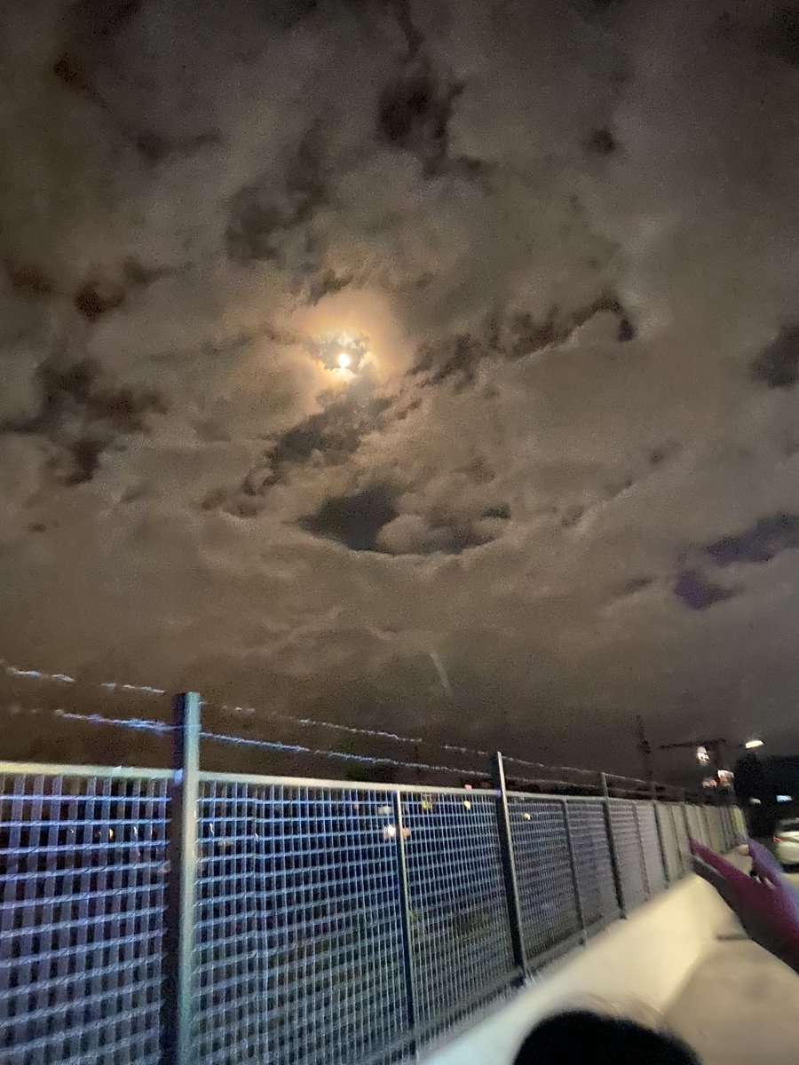 jubileas's tweet photo. 🎑 https://t.co/71SIv3a18x