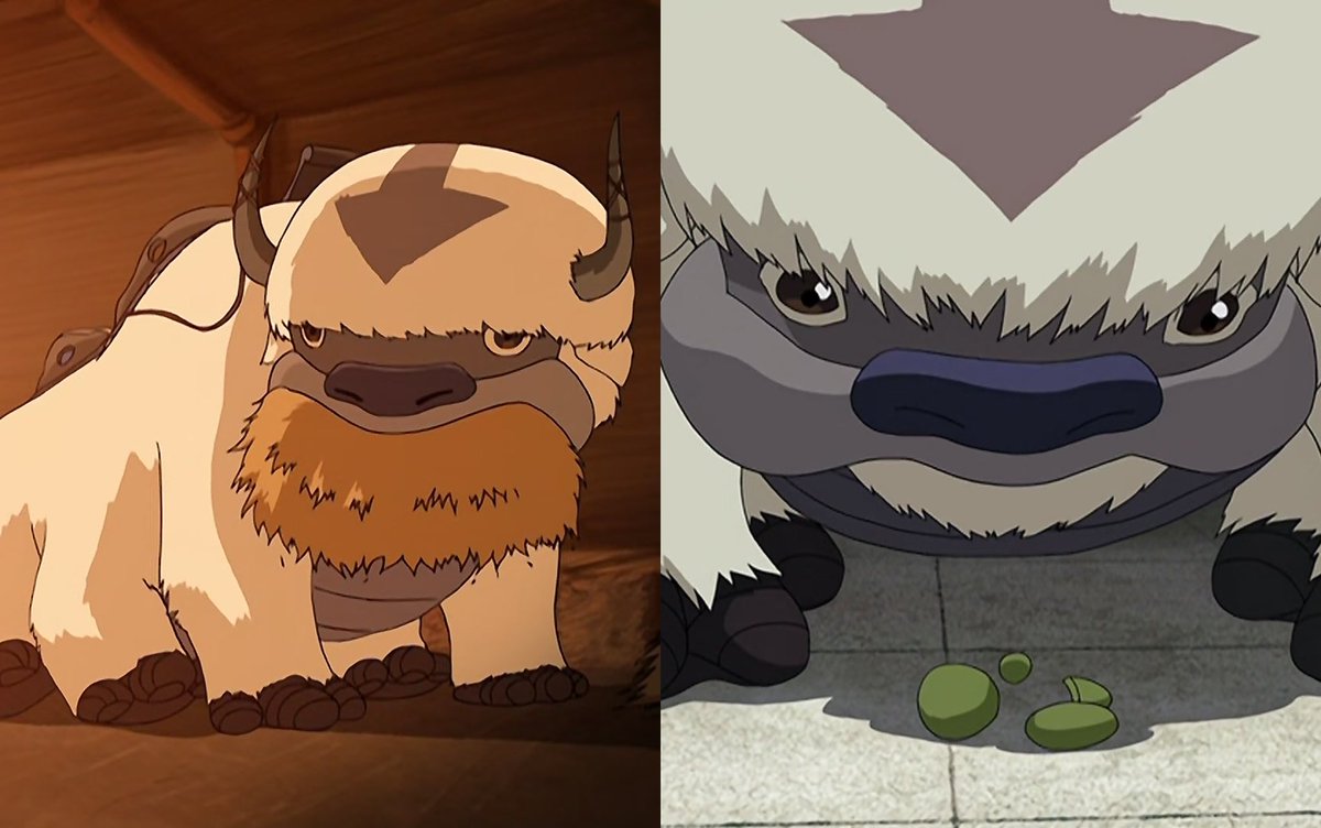 aangdaily's tweet image. According to Avatar Extras, Appa is overweight for a Sky Bison and has a double chin
