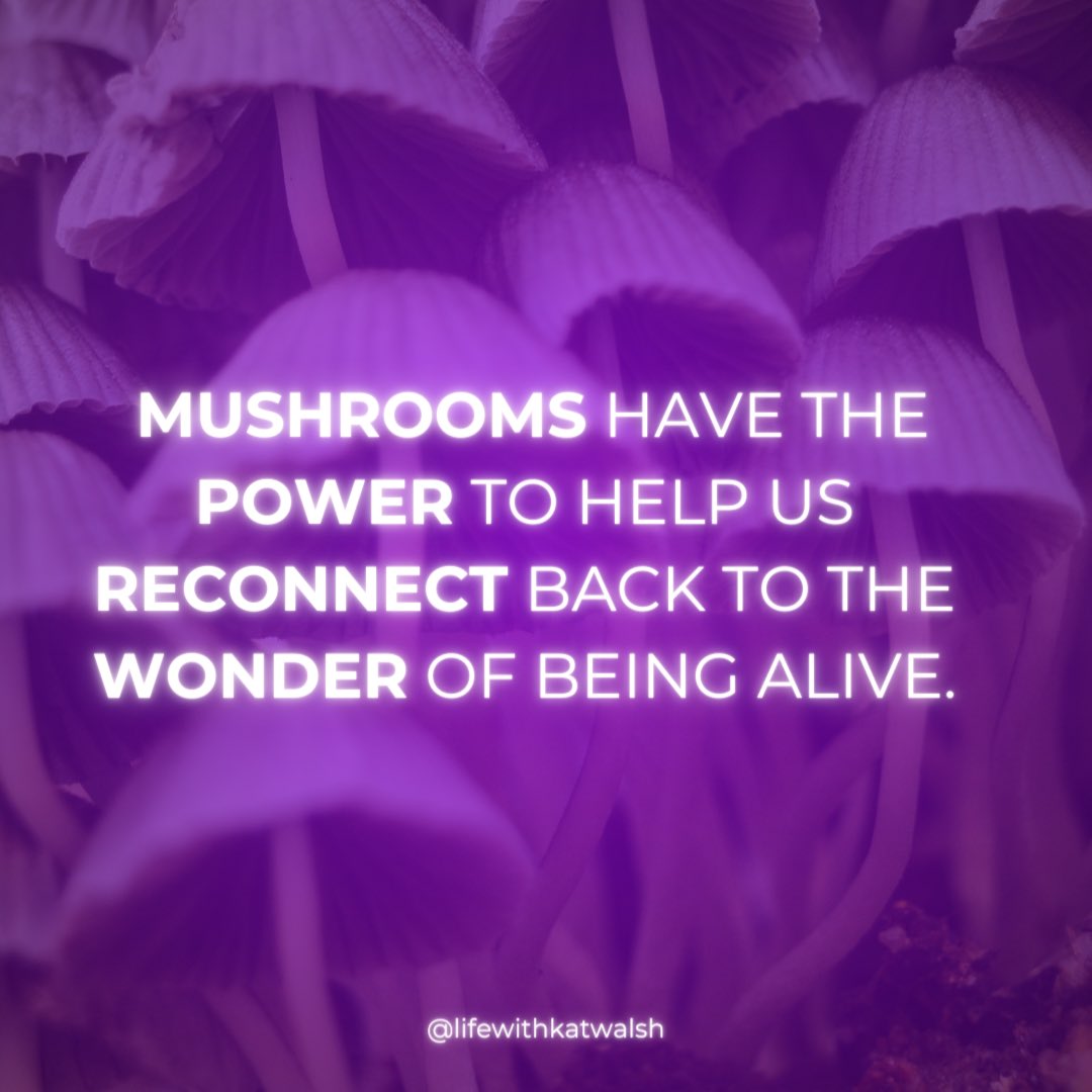 🌈 Mushrooms have the power of helping us reconnect back to the absolute wonder and #miracle it is of being alive. They are an access point to AWE. 
•
This is why #gratitude is such a signature adjective when people are describing their relationship with these #mushroom allies.