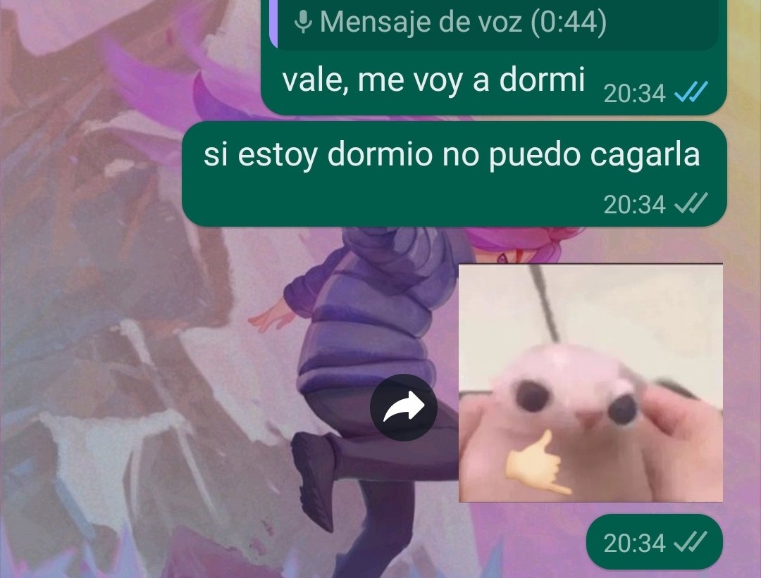 Pablo Leal 🐧 tweet media