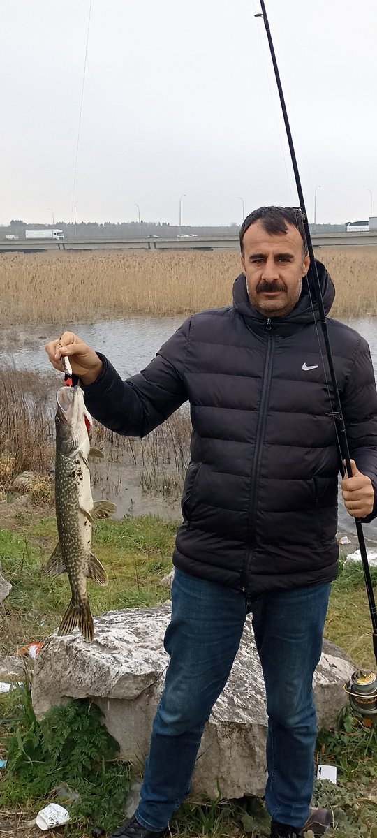 İstanbul da turna balığı yakalamak varmış