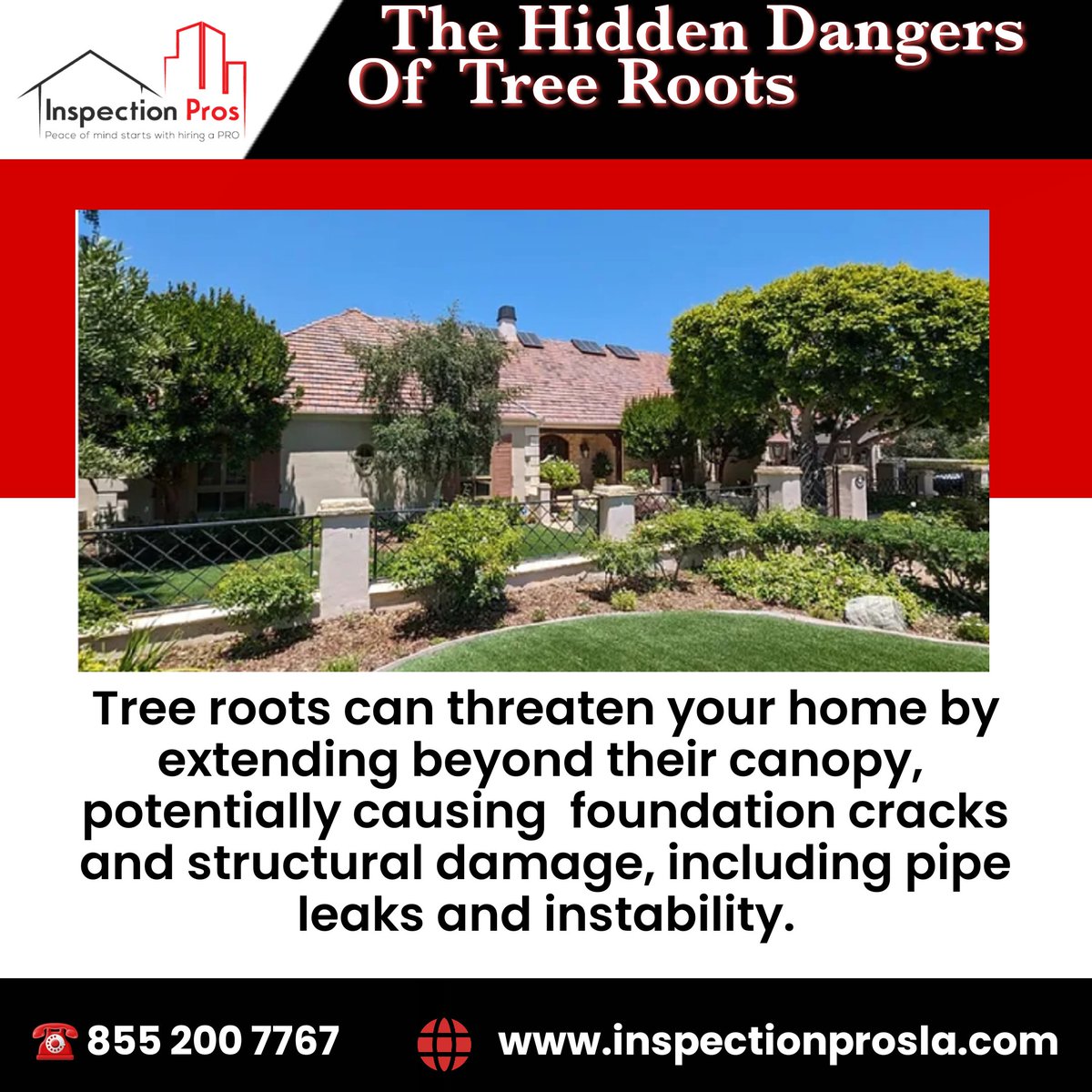 🏕 Tree roots may reach beyond their canopy, threatening your home's foundation with cracks and instability. Protect against aggressive roots to prevent leaks and damage. 
inspectionprosla.com 
#HomeSafety #TreeRootDamage #FoundationCare #ProtectYourHome #homesafehome  #home