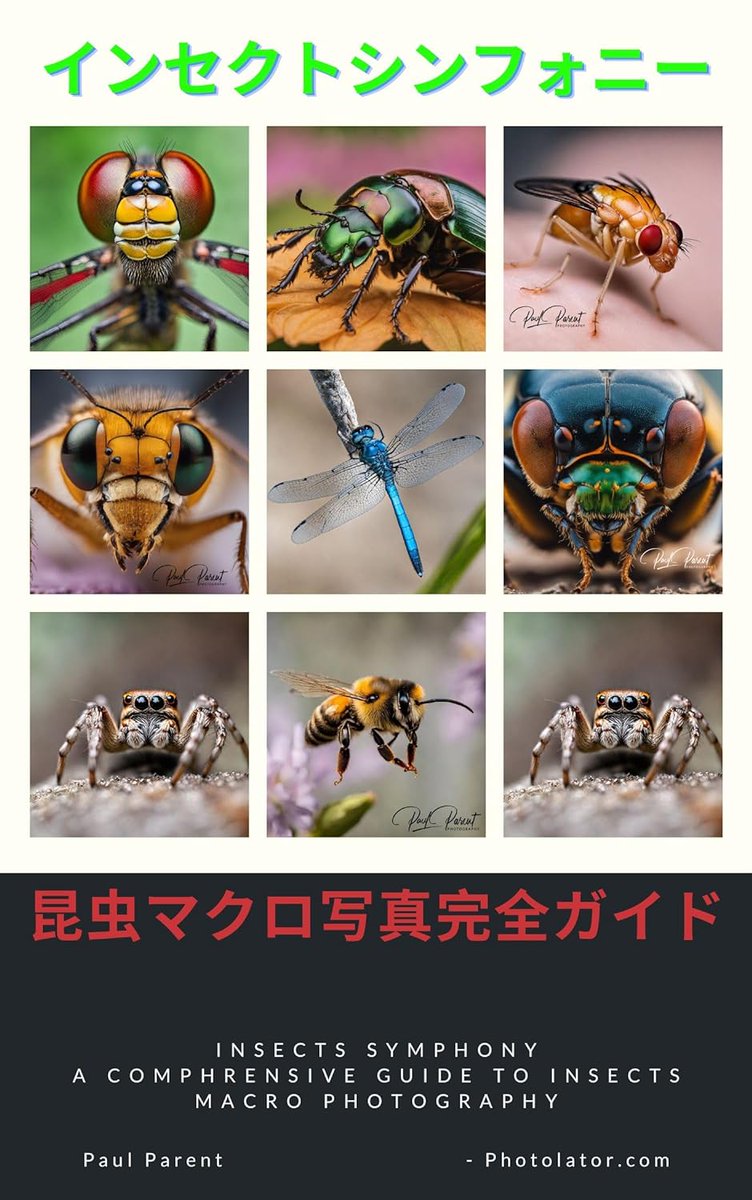 amazon.co.jp/dp/B0CW1MJQ6L
#ファインダー越しの私の世界 
＃ハンドメイド #昆虫
＃ファッション #insect 
＃ランチ  #photolator #Amazonギフト券 
＃ネイル #大きいサイズ 
＃カフェ #Amazonギフトカード 
#おうちごはん