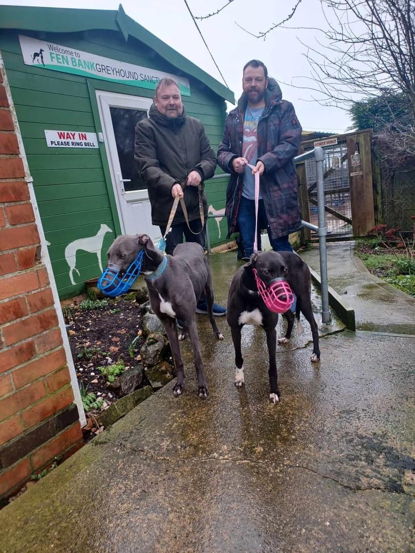 Popeye the blue and Babs off to their furever. Gonna miss you both. Have a fab retirement. 🐾🐾