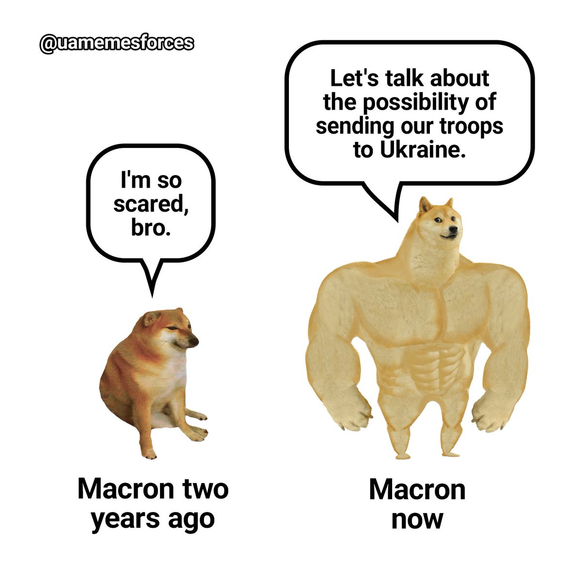 UMF (@uamemesforces) on Twitter photo 